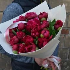 Букет 407 Пионы красные