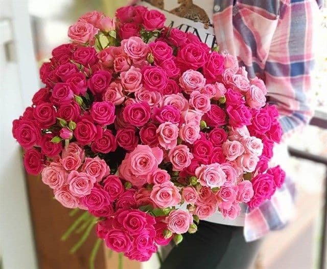 Кустовые розы (50см) розовые