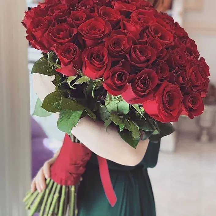 Розы красные (80см) Эквадор