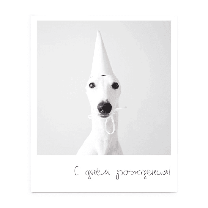 Фотокарточка 419